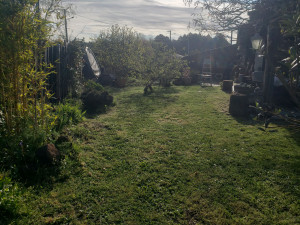 Photo de galerie - Tonte de pelouse - Débroussaillage