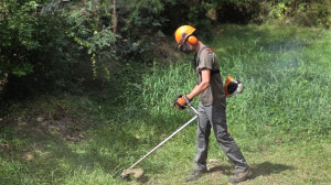 Photo de galerie - Débroussaillage de terrain derrière un jardin