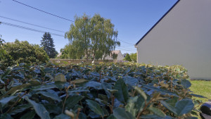 Photo de galerie - Taille de haie