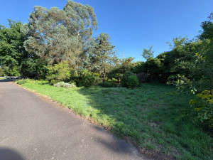 Photo de galerie - Nettoyage Terrain (Avant) 