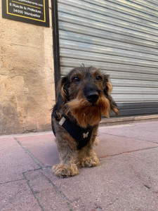 Photo de galerie - Garde longue durée 