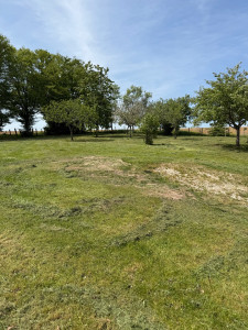 Photo de galerie - Tonte de pelouse