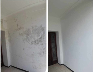 Photo de galerie - Rénovation 