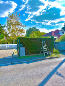 Photo de galerie - Taille de haies et d'arbustes