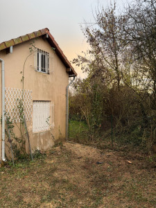 Photo de galerie - Suppression de 5 cyprès + rognage des souches (après).