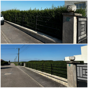 Photo de galerie - Taille de haies 