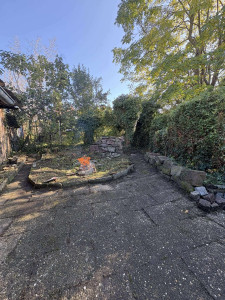 Photo de galerie - Journée nettoyage : Débroussaillage / Taille / Enlèvement d'un Arbre.