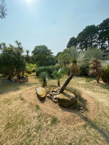 Photo de galerie - Jardinier