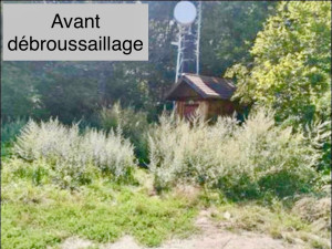Photo de galerie - Tonte de pelouse - Débroussaillage
