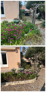 Photo de galerie - Jardinier