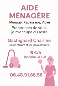 Photo de galerie - Aide menagere 