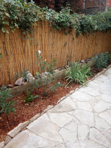 Photo de galerie - Je suis jardinier paysagiste création de jardin 
