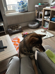 Photo de galerie - Ares