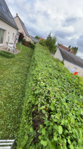 Photo de galerie - Après 