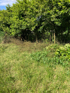 Photo de galerie - Tailler débroussailler