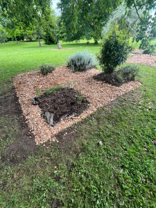 Photo de galerie - Paillage plus désherbage 