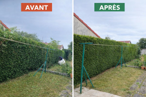 Photo de galerie - Taille de haies et d'arbustes