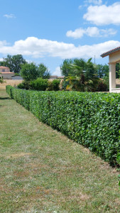 Photo de galerie - Après 