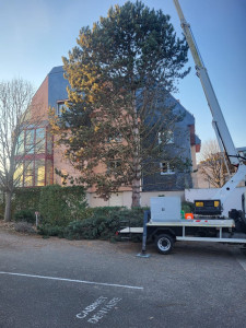 Photo de galerie - Avec camion, nacelle et matériel professionnel