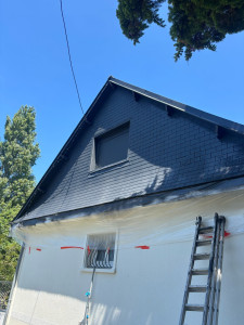 Photo de galerie - Résine colorée sur toiture