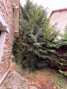 Photo de galerie - Avant