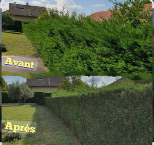 Photo de galerie - Bonjour les services proposés sont disponibles rapidement.
