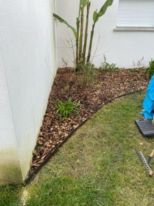 Photo de galerie - Taille de haies et d'arbustes