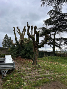 Photo de galerie - Après 