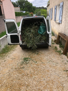 Photo de galerie - Enlevement 