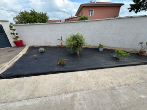 Photo de galerie - Création de massif 