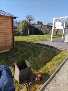 Photo de galerie - Tonte de pelouses 