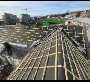 Photo de galerie - Couverture - Toiture