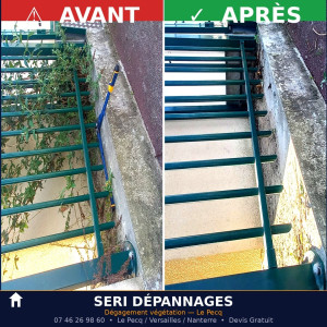 Photo de galerie - Dégagement de végétations.