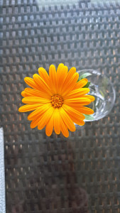 Photo de galerie - Les petits attention illumine la journée 