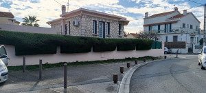 Photo de galerie - Taille haie de cyprès 