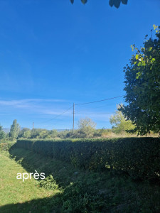 Photo de galerie - Voici le après d'une taille de pyracantha 