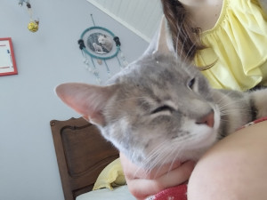Photo de galerie - Moment tendre avec ma chatte