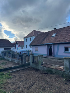 Photo de galerie - Elagage et coupe d'arbres