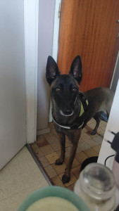 Photo de galerie - Prada