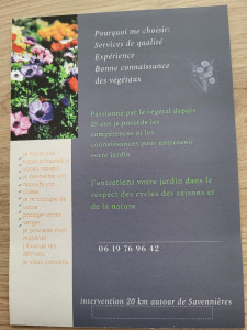 Photo de galerie - Taille de haies et d'arbustes