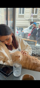 Photo de galerie - Chat trop mignon avec qui j’ai eu un vrai coup de cœur dans un bar à chats. Très sociable, câlin et attachant. ?