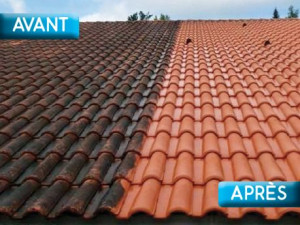 Photo de galerie - Nettoyage de toiture 