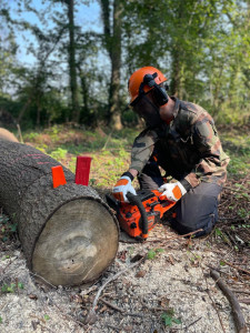 Photo de galerie - Entretien ponctuel ou hebdomadaire de votre extérieur .
Tonte en herbicyclage, débroussaillage, abattage, élagage. 