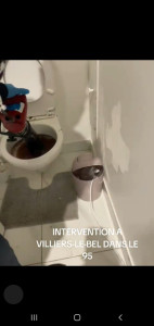 Photo de galerie - Je suis intervenue dans le 95 pour un wc qui étais bouché .