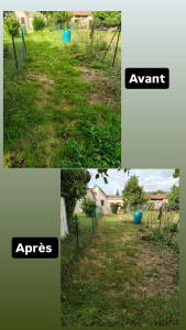 Photo de galerie - Débroussaillage 