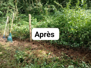 Photo de galerie - Bordure propre