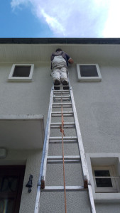 Photo de galerie - Rénovation de caches moineaux 