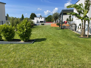 Photo de galerie - Tonte de pelouse - Débroussaillage