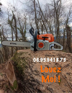 Photo de galerie - Location tronçonneuse stihl ms390 guide 50cm - carburant compris - livraison 30km autour de Couhe