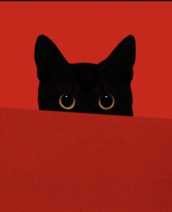 Photo de galerie - ? Garde de chat attentionnée et fiable
Je prends soin de votre chat avec sérieux et bienveillance : repas, eau, litière, câlins et présence selon ses habitudes. ?❤️